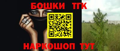 стаф Канаш