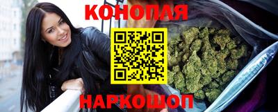 стаф Канаш