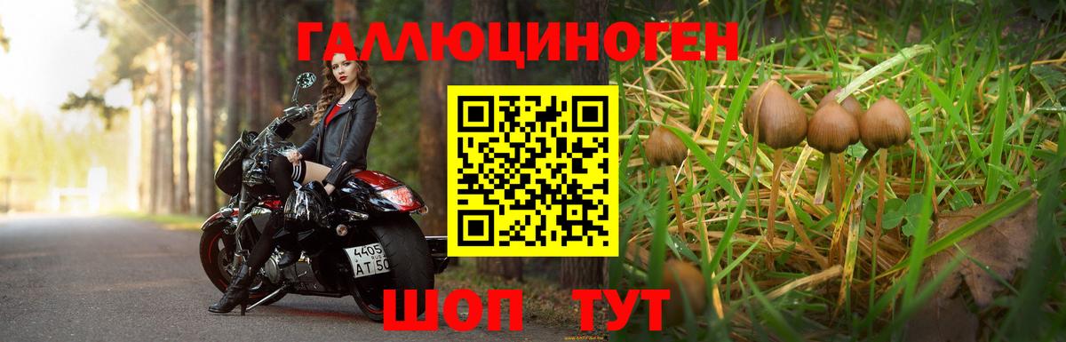 Псилоцибиновые грибы ЛСД Дмитров