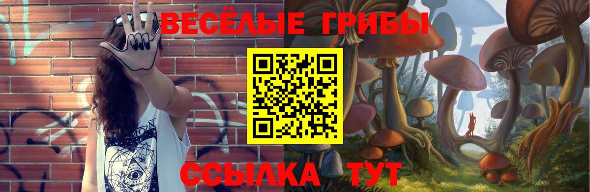 Галлюциногенные грибы прущие грибы  Псилоцибиновые грибы GOLDEN TEACHER  Дмитров  Вход с VPN 