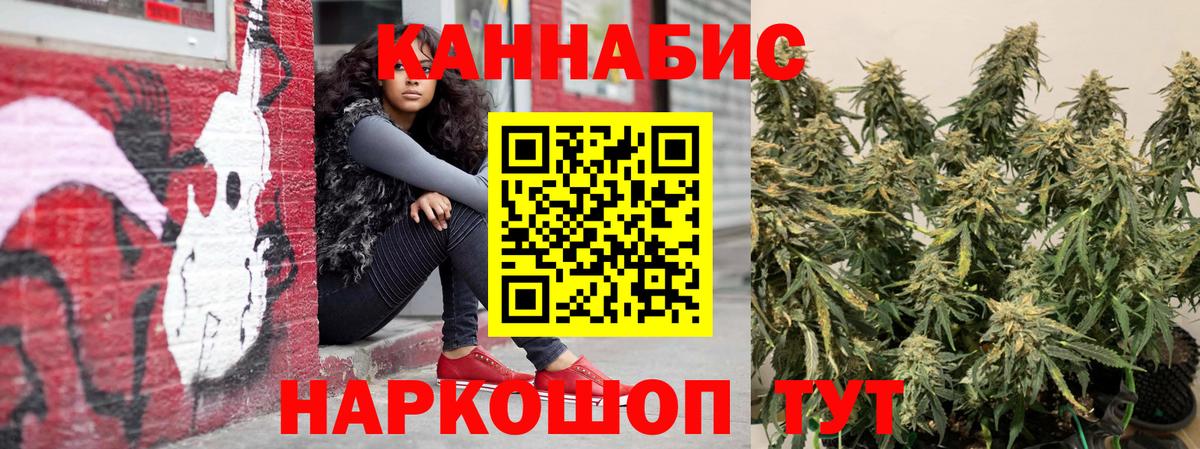 Бошки марихуана ГИДРОПОН  Бошки марихуана индика  Дмитров  Конопля Amnesia  Вход с VPN 